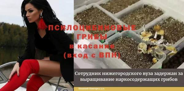 индика Алзамай