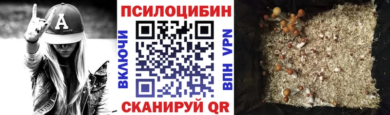 купить закладку  Туймазы  blacksprut ТОР  Псилоцибиновые грибы мицелий 
